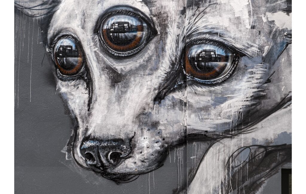 Fotospaziergang im Mannheimer Jungbusch