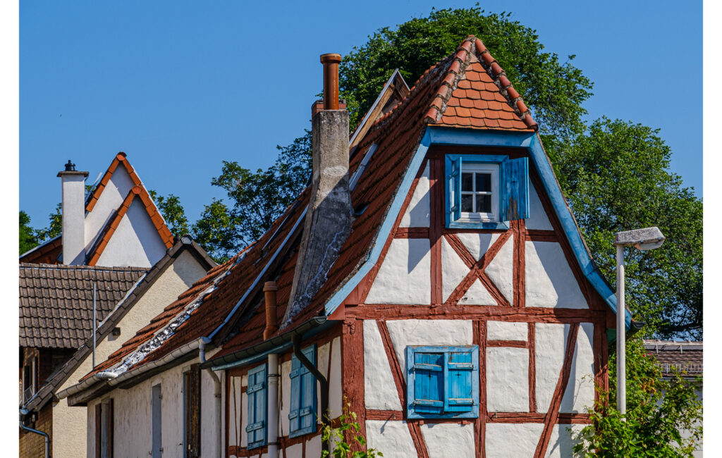 Schlosspark Herrnsheim – diesmal leider enttäuschend