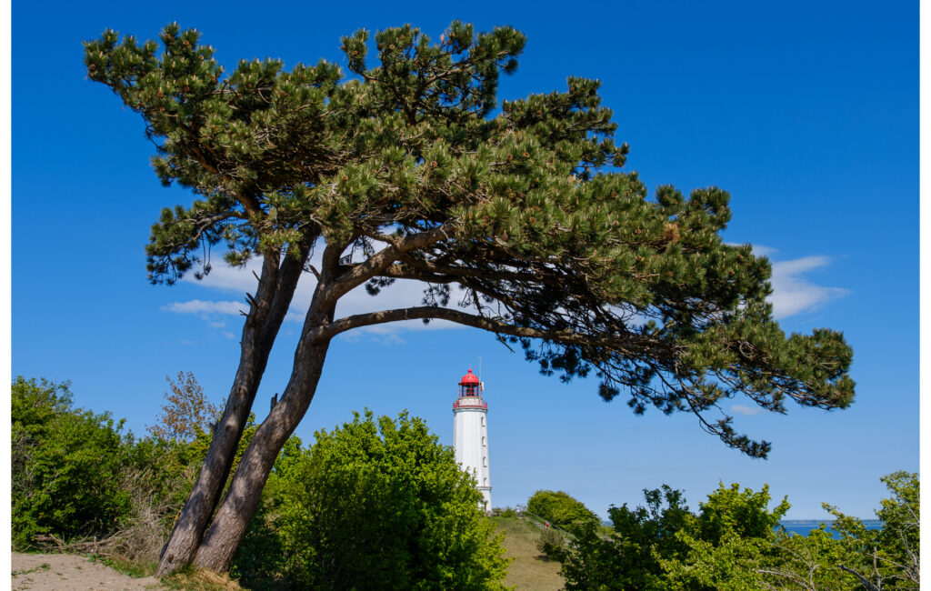 Sellin, Hiddensee, Mönchgut