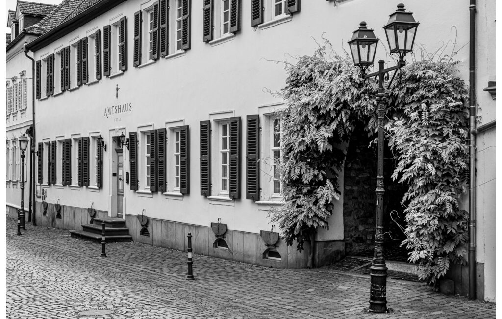 Farbfilm vergessen?